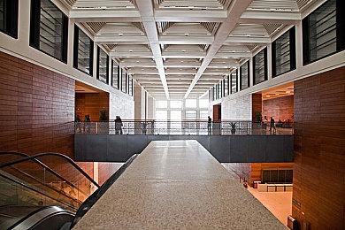 官方大失误 《宝可梦PTCG P》得卡挑战新活动提前上线 可获取新卡但商店券无法使用