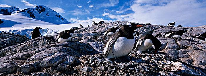 最新实机演示亮相，《极限竞速：地平线5》更多新信息解锁