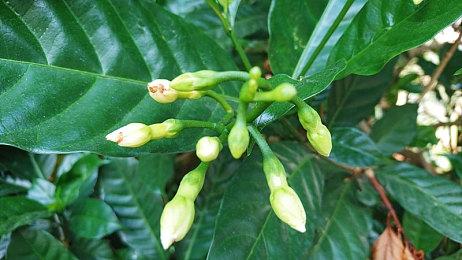 开发商十分忙碌 《控制2》已进入概念验证阶段